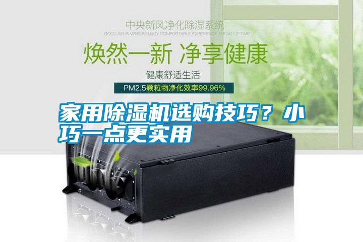 家用除濕機(jī)選購技巧？小巧一點(diǎn)更實(shí)用