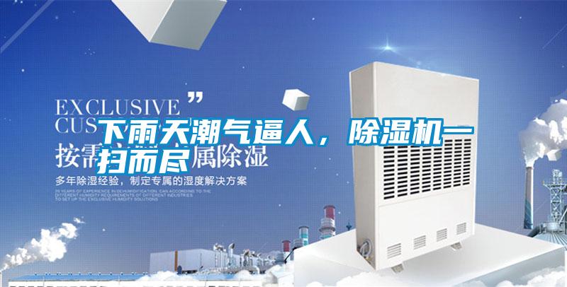 下雨天潮氣逼人，除濕機一掃而盡