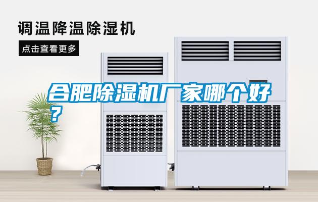 合肥除濕機(jī)廠家哪個(gè)好？
