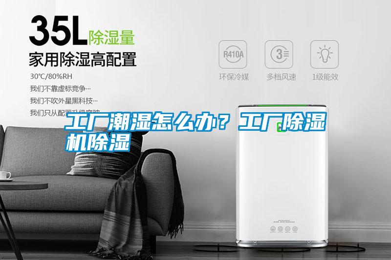 工廠潮濕怎么辦？工廠除濕機除濕