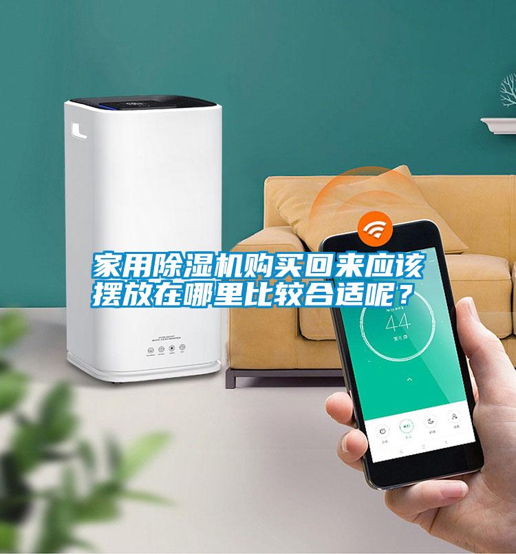 家用除濕機購買回來應(yīng)該擺放在哪里比較合適呢？
