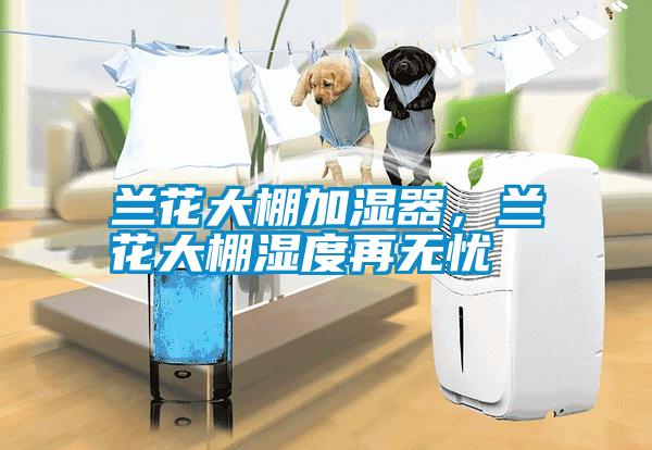 蘭花大棚加濕器，蘭花大棚濕度再無憂
