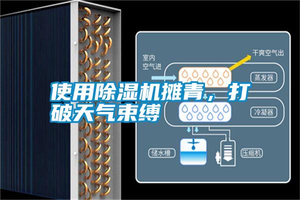 使用除濕機攤青，打破天氣束縛