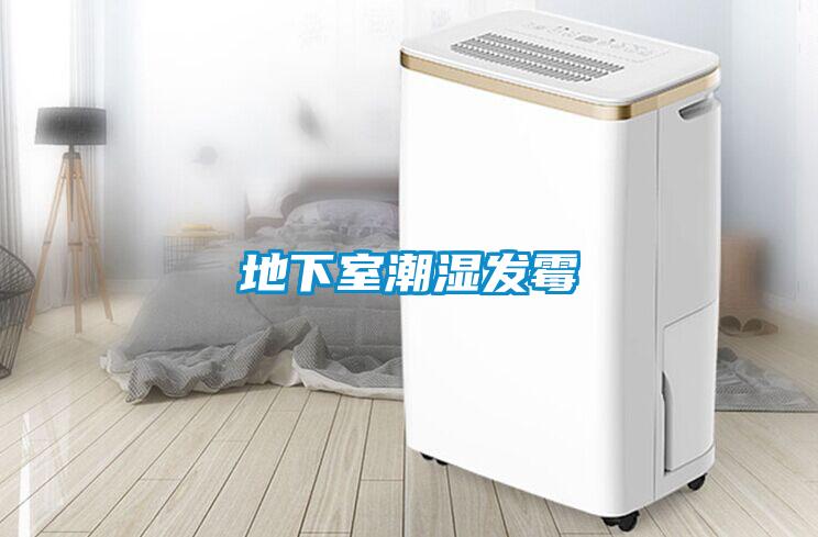 地下室潮濕發霉