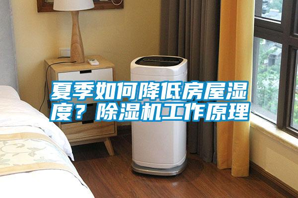 夏季如何降低房屋濕度？除濕機工作原理
