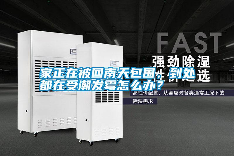 家正在被回南天包圍，到處都在受潮發(fā)霉怎么辦？