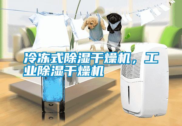 冷凍式除濕干燥機，工業除濕干燥機