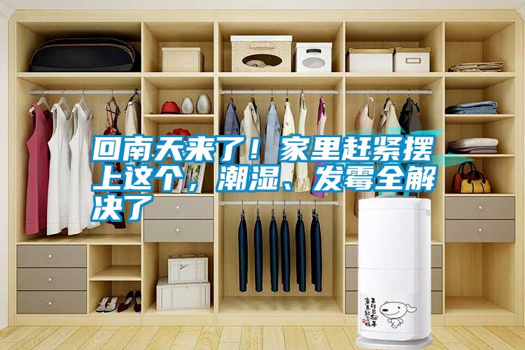 回南天來了！家里趕緊擺上這個(gè)，潮濕、發(fā)霉全解決了