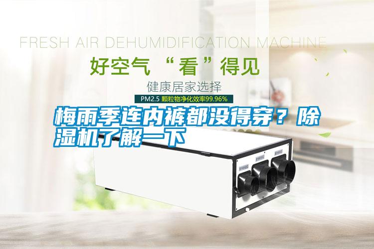 梅雨季連內褲都沒得穿？除濕機了解一下