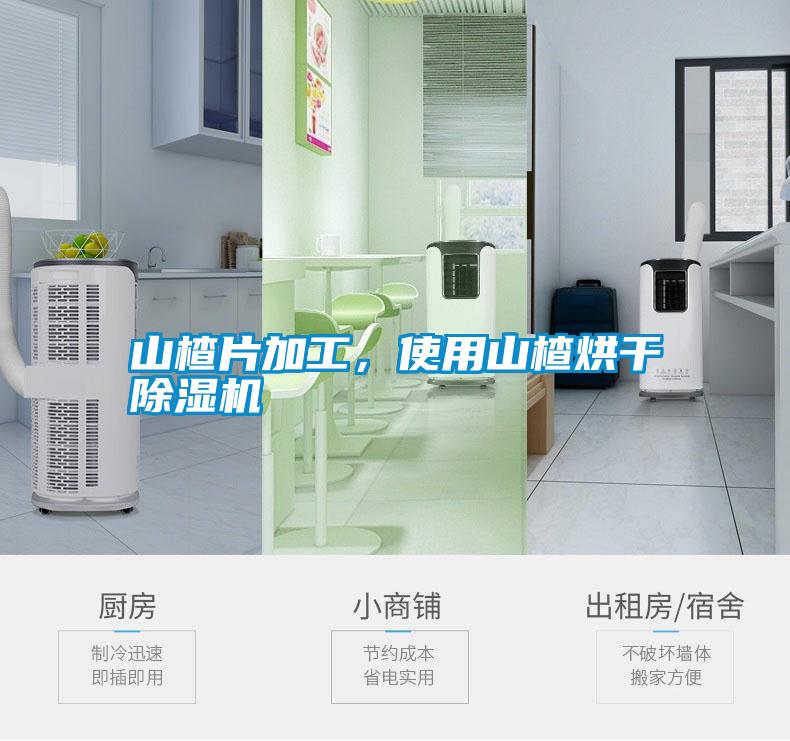 山楂片加工，使用山楂烘干除濕機