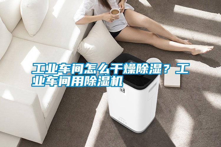 工業車間怎么干燥除濕？工業車間用除濕機