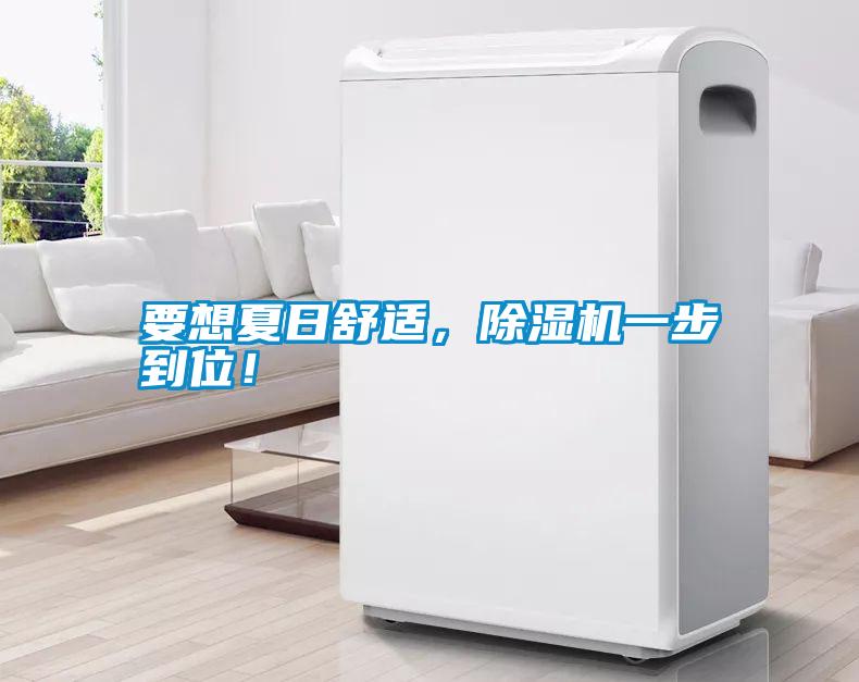 要想夏日舒適，除濕機一步到位！
