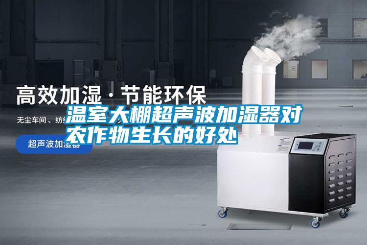 溫室大棚超聲波加濕器對農作物生長的好處