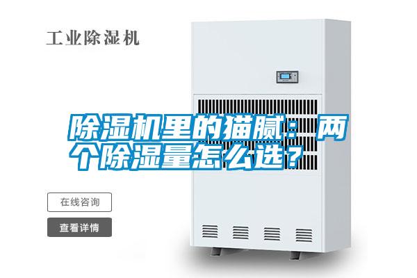 除濕機里的貓膩：兩個除濕量怎么選？