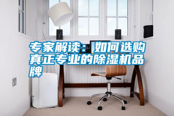 專家解讀：如何選購真正專業的除濕機品牌