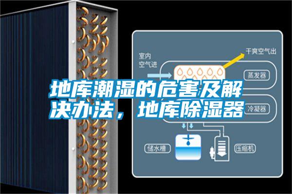 地庫潮濕的危害及解決辦法，地庫除濕器