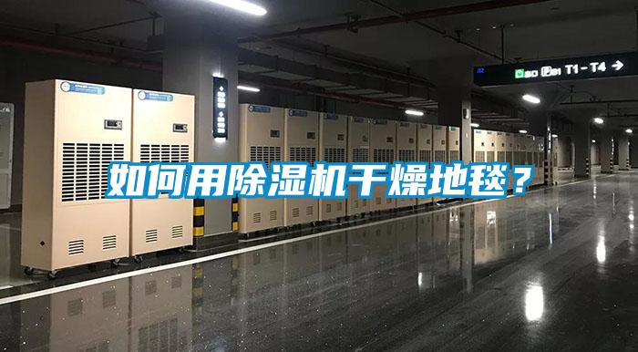 如何用除濕機干燥地毯？