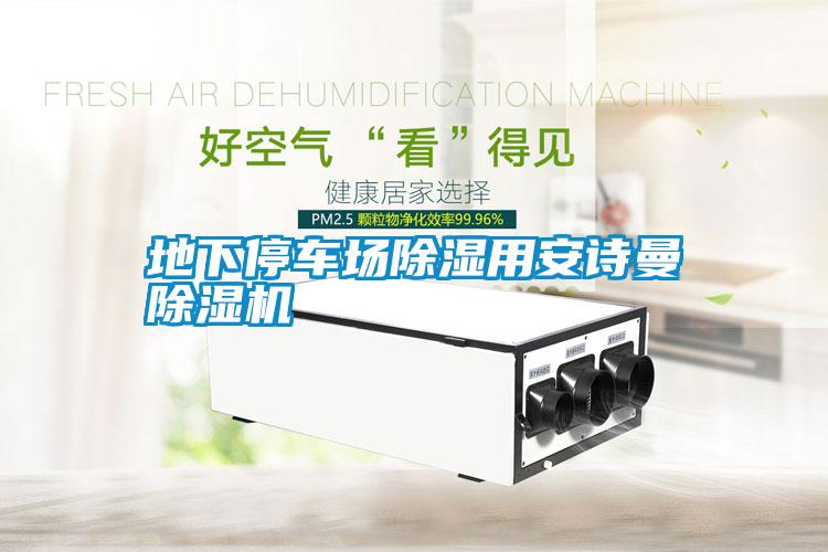 地下停車場(chǎng)除濕用安詩(shī)曼除濕機(jī)