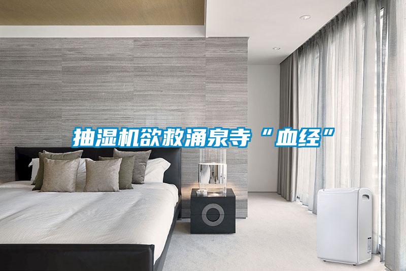 抽濕機欲救涌泉寺“血經(jīng)”