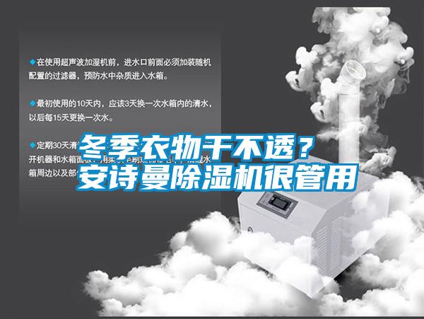 冬季衣物干不透？ 安詩曼除濕機很管用