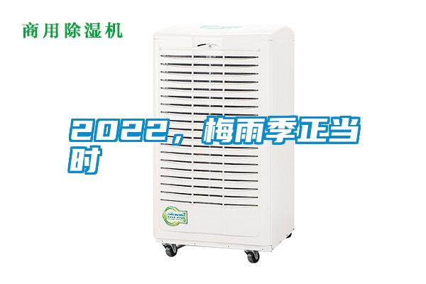 2022，梅雨季正當(dāng)時(shí)