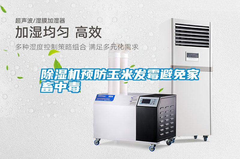 除濕機預(yù)防玉米發(fā)霉避免家畜中毒