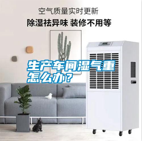 生產車間濕氣重怎么辦？