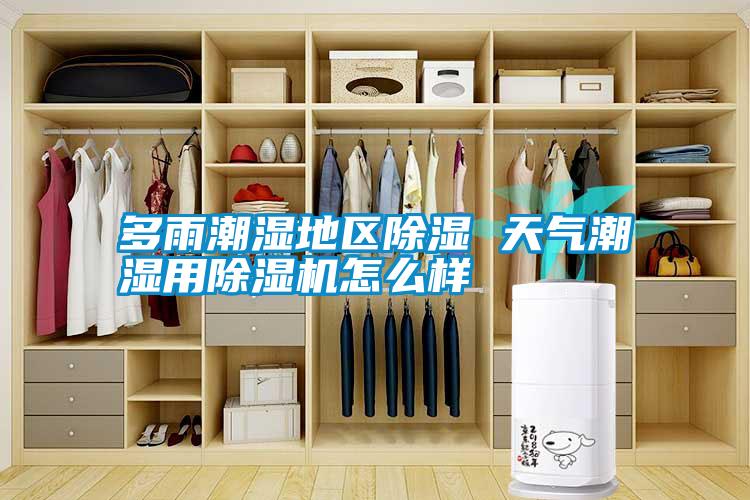 多雨潮濕地區除濕 天氣潮濕用除濕機怎么樣