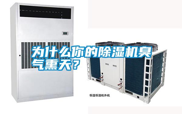 為什么你的除濕機臭氣熏天？