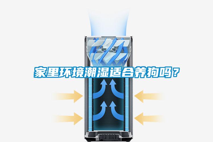 家里環境潮濕適合養狗嗎？