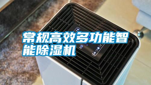 常規(guī)高效多功能智能除濕機(jī)