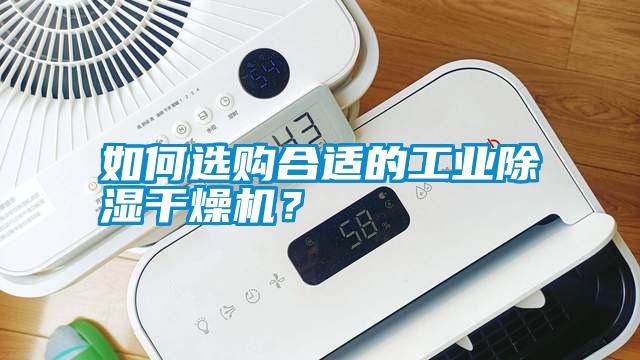 如何選購合適的工業除濕干燥機？