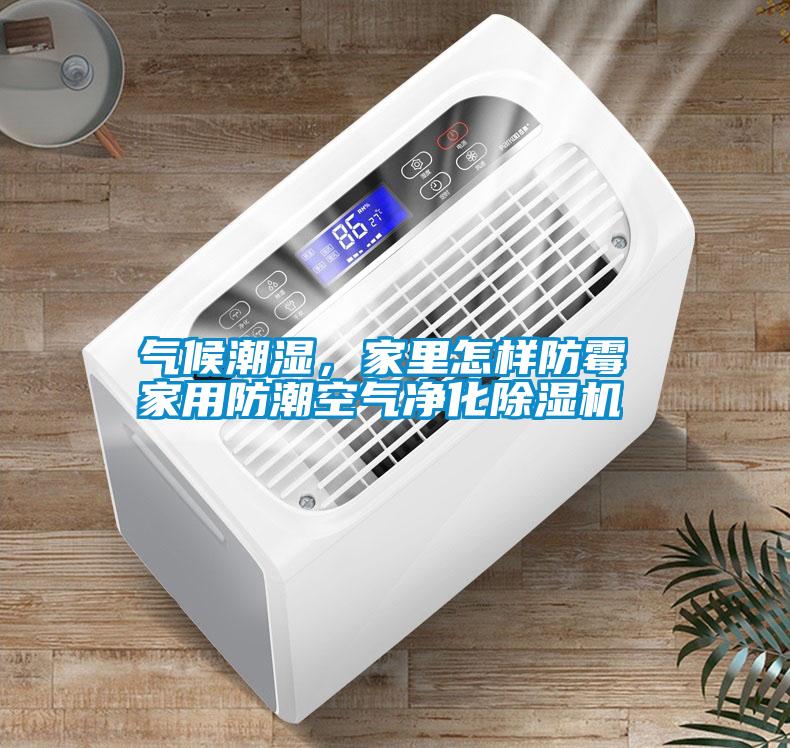 氣候潮濕，家里怎樣防霉 家用防潮空氣凈化除濕機