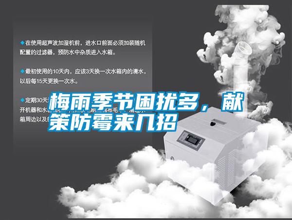 梅雨季節困擾多，獻策防霉來幾招