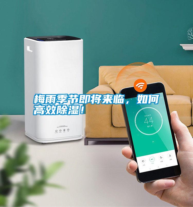 梅雨季節(jié)即將來臨，如何高效除濕！