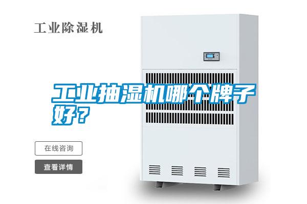 工業(yè)抽濕機哪個牌子好？