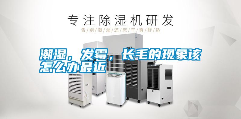 潮濕，發霉，長毛的現象該怎么辦最近