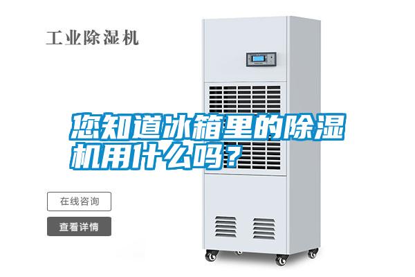 您知道冰箱里的除濕機用什么嗎？