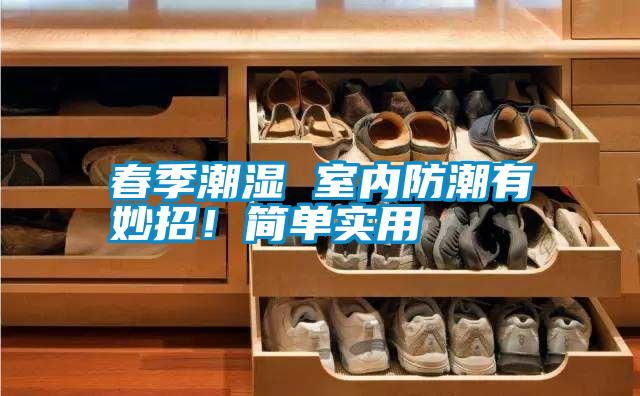 春季潮濕 室內防潮有妙招！簡單實用