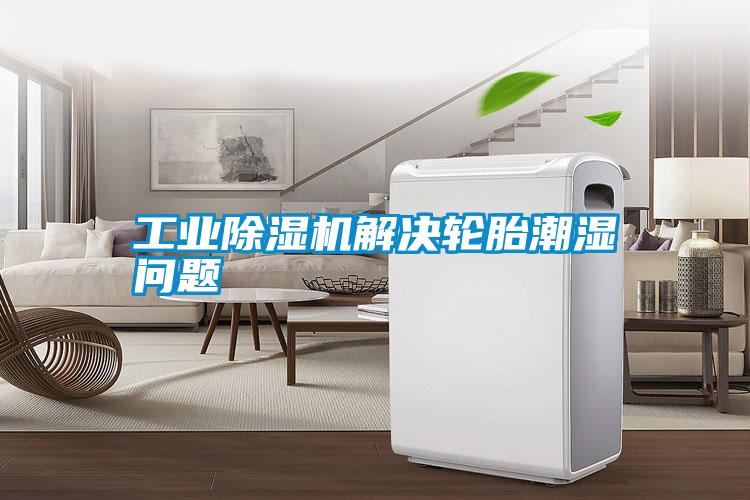 工業除濕機解決輪胎潮濕問題