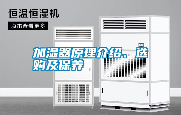 加濕器原理介紹、選購及保養