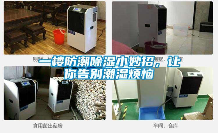 一樓防潮除濕小妙招，讓你告別潮濕煩惱