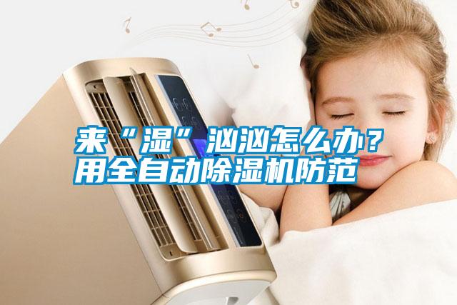 來(lái)“濕”洶洶怎么辦？用全自動(dòng)除濕機(jī)防范