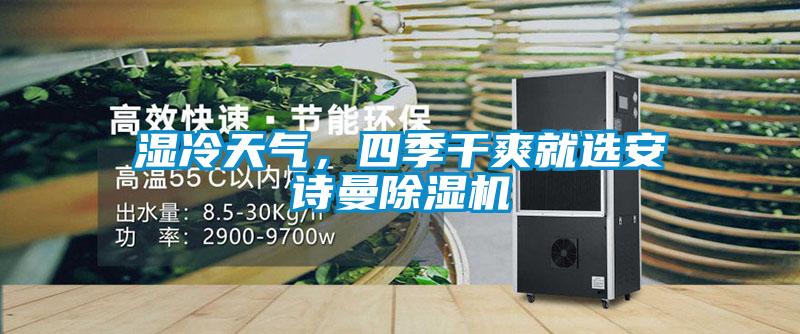 濕冷天氣，四季干爽就選安詩(shī)曼除濕機(jī)