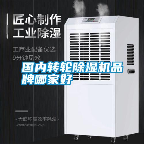 國內(nèi)轉(zhuǎn)輪除濕機(jī)品牌哪家好