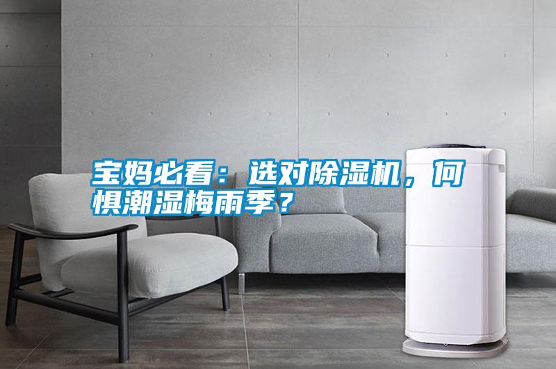 寶媽必看：選對除濕機，何懼潮濕梅雨季？