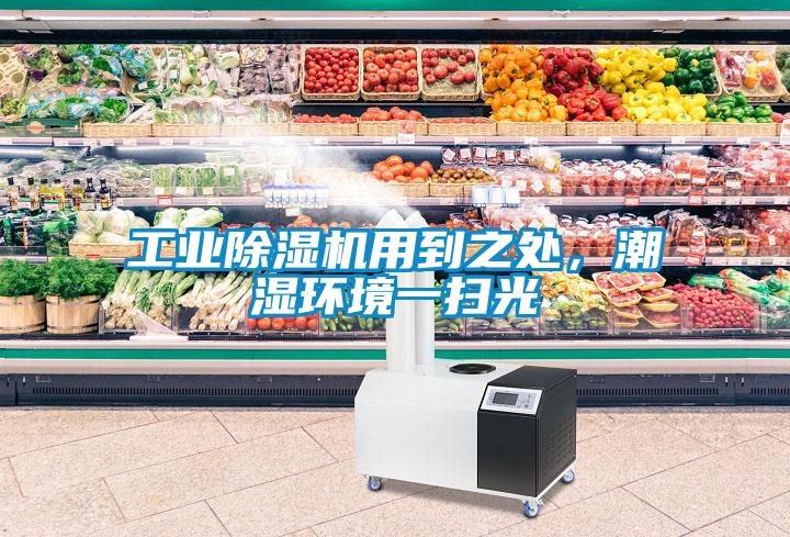 工業除濕機用到之處，潮濕環境一掃光