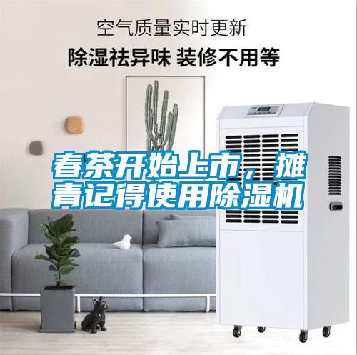 春茶開始上市，攤青記得使用除濕機(jī)