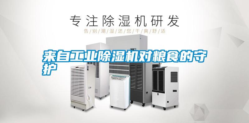 來(lái)自工業(yè)除濕機(jī)對(duì)糧食的守護(hù)