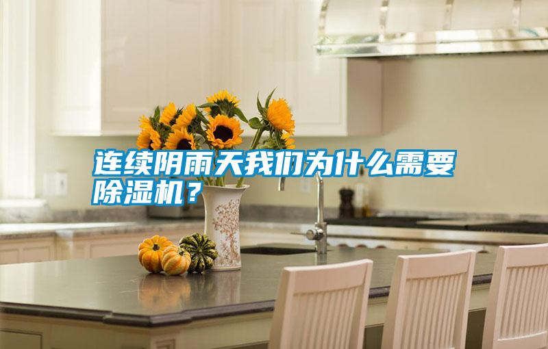 連續陰雨天我們為什么需要除濕機？